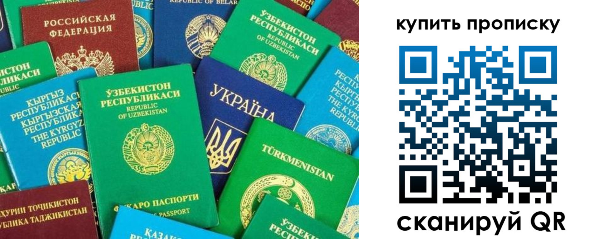 прописка в квартире в Будённовске